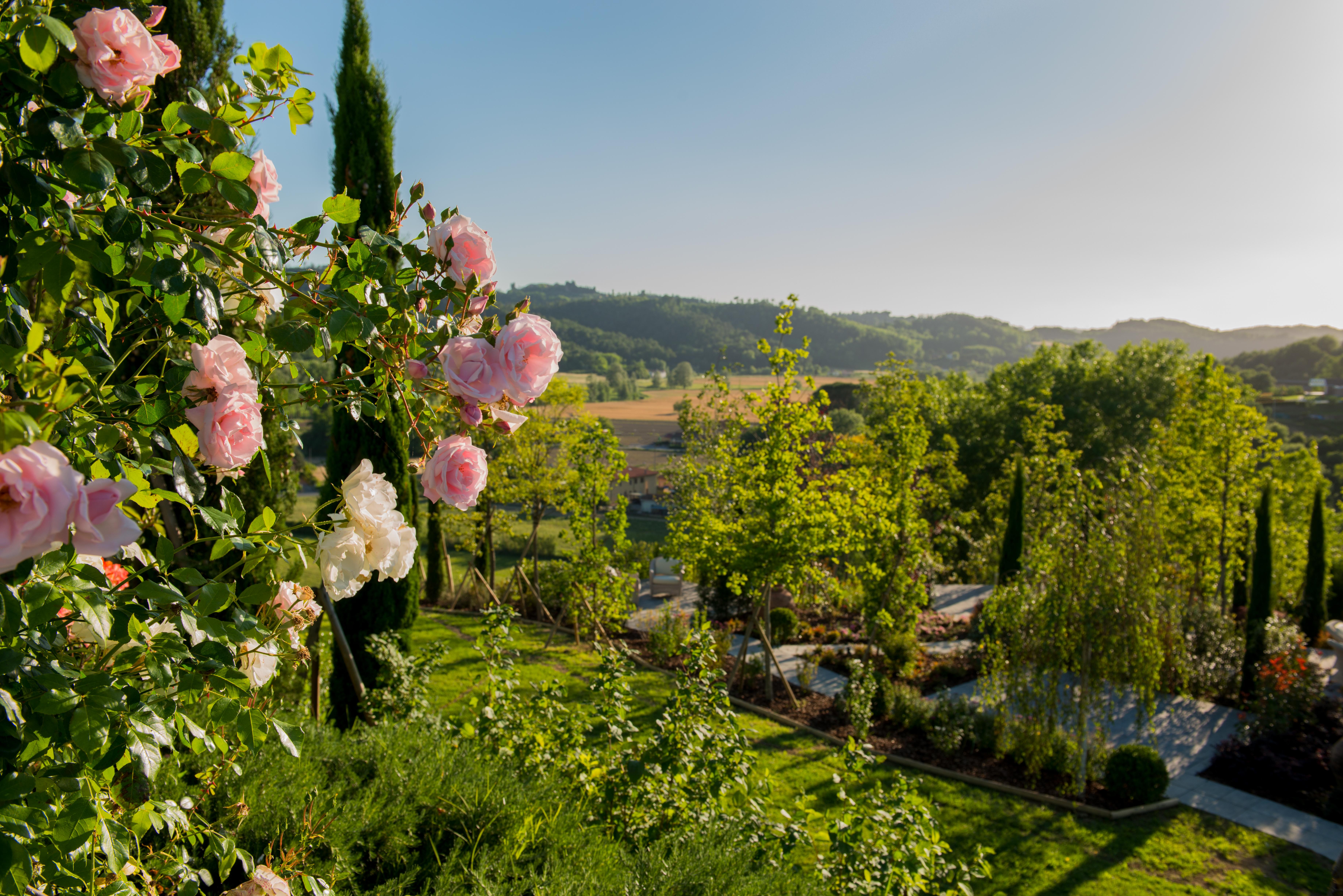 Relais Sassa Al Sole Hotel San Miniato Buitenkant foto